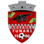 Тунари