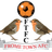 Фрум Таун