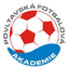 Повлтавска академия