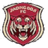 Шанхай Цзядин