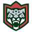 Ак Барс