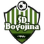 Богоина