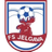 Елгава до 19