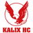 Каликс