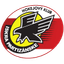 Партизанске