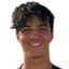 Перейра T