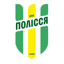 Полесье Житомир (19)
