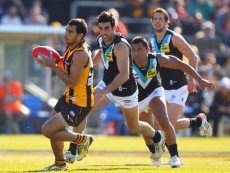 Эпизод матча по австралийскому футболу