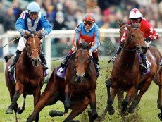 Эпизод соревнований по скаковому спорту