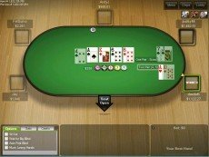 Скриншот покерной игры от Microgaming