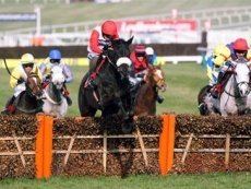 Эпизод соревнований по скаковому спорту