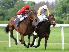 Эпизод соревнований по скаковому спорту