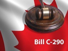 Разрешат ли одиночные ставки в Канаде?