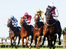 Эпизод соревнований по скаковому спорту