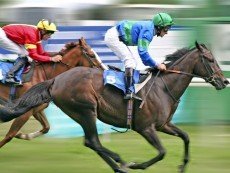 Эпизод соревнований по скаковому спорту