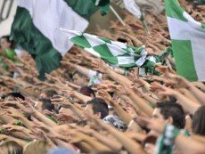 В Cashpoint рассчитывают на болельщиков 'Вольфсбурга'