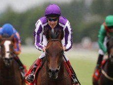 Налоговые отчисления помогут ирландским конезаводчикам