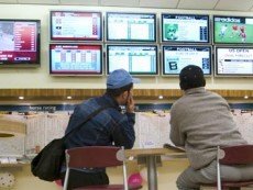 Турецким любителям скакового спорта дали «картинку» с еще одного ипподрома