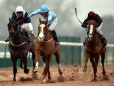 Новый законопроект поможет небольшим ипподромам в сельской местности