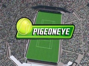 Pigeon Eye сказал, что в этом году Маррею не победить
