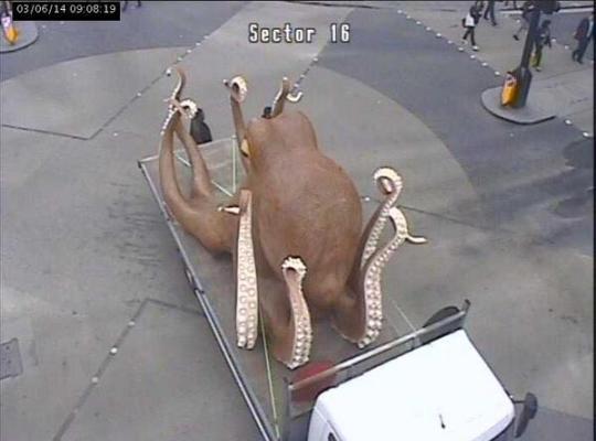 Застрявшего на London Circus осьминога запечатлели камеры наблюдения