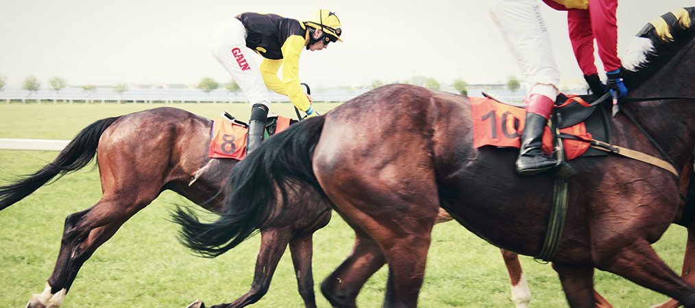 Гарантированные лучшие коэффициенты на скачки и бега от Bet365