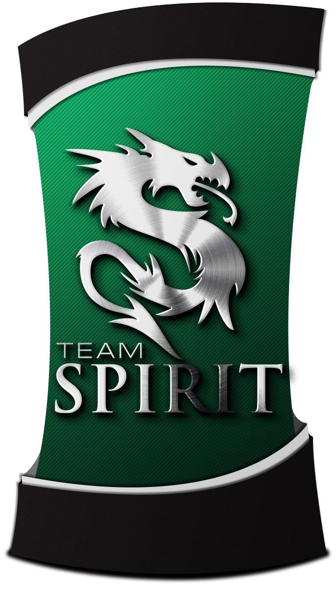 Team spirit купить. Тим спирит. Тим спирит лого. Мерч тим спирит. Team Spirit старое лого.