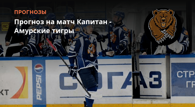 Амурские тигры прогноз на матч. Тайфун лого. Цска москва амур хабаровск прогноз. Амурские тигры мхл. Амурские тигры прогноз на матч.