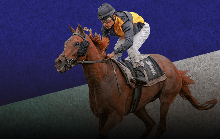 Акция «Extra Places» от БК Boylesports