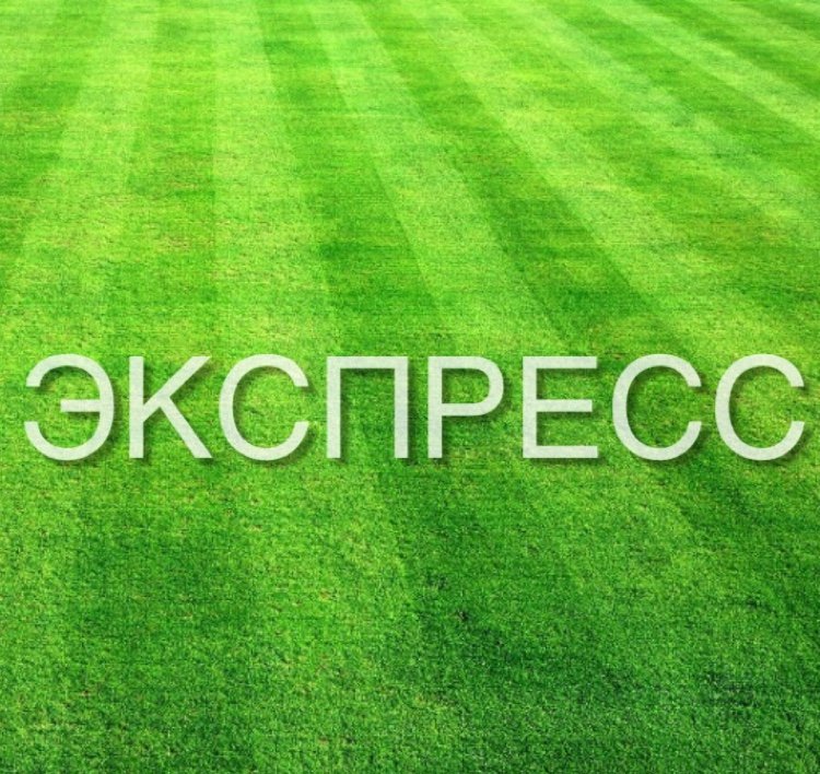 Экспресс на футбол картинки