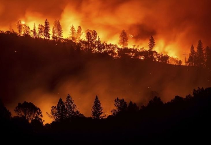 Спортивный врач: занятия футболом при задымленности в Сибири могут привести к гипоксии