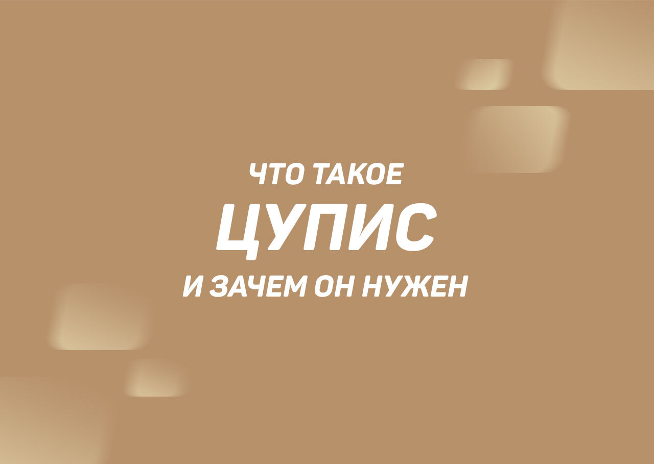 Единый ЦУПИС: что это такое, официальный сайт Единого ЦУПИС, личный  кабинет, кошелек