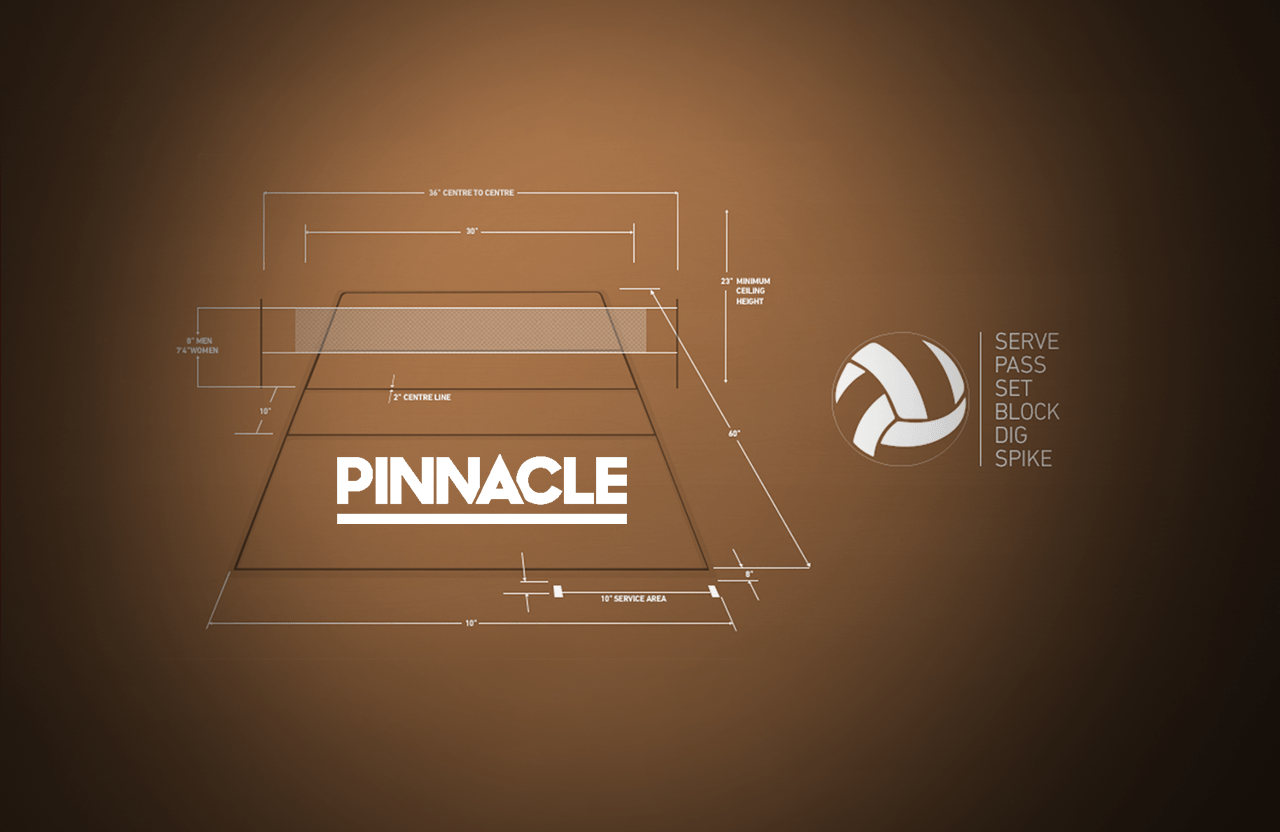 Ставки на волейбол: особенности и нюансы - База знаний «РБ»