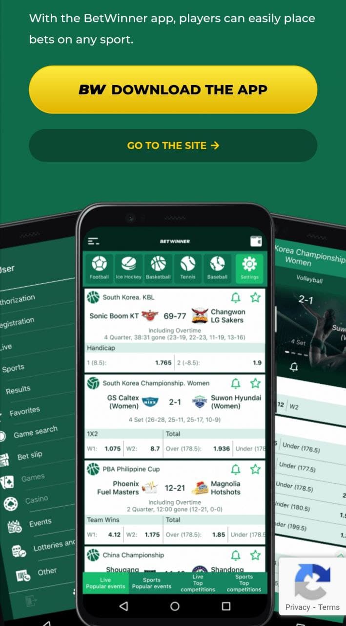 Betwinner- Скачать приложение на Android: обзор приложения betwinner