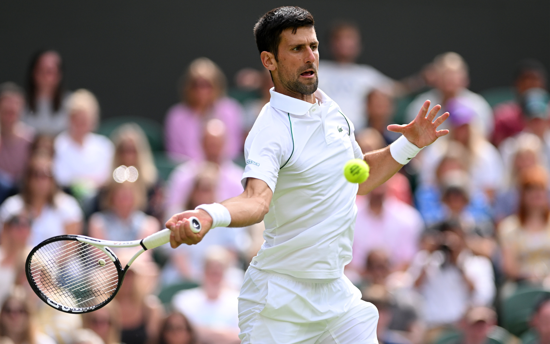 Novak Djokovic Jannik Sinner Wimbledon