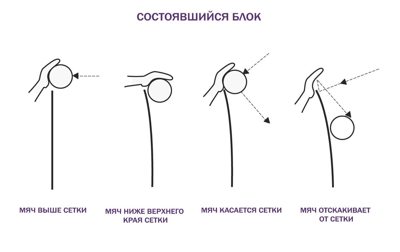 можно во время игры касаться сетки в волейболе (100) фото