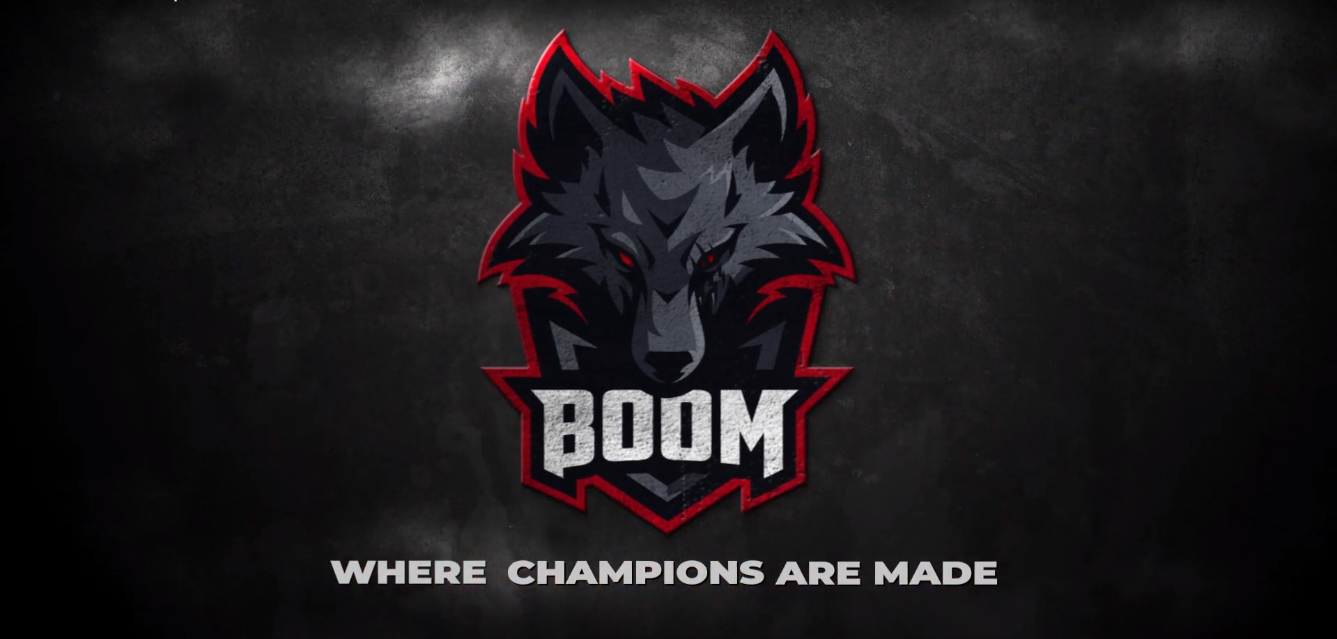 Boom esports dota 2. Бум еспортс. Бум еспортс дота 2. Команда Boom КС го. Логотипы команд.