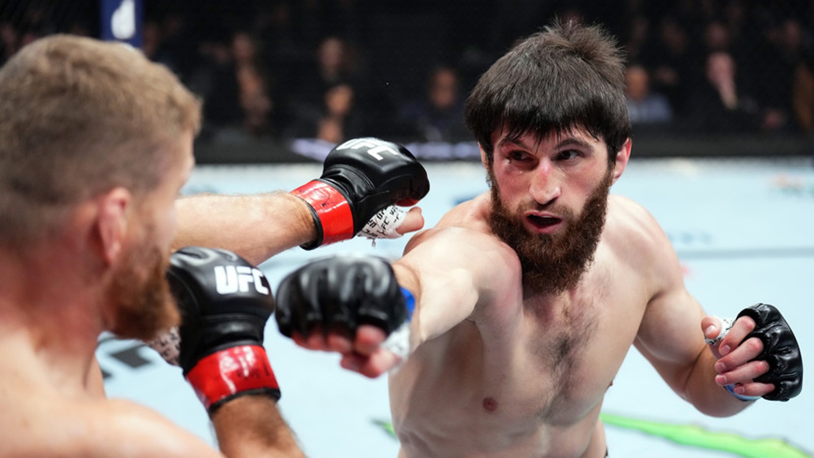 Какого числа бой анкалаева. Магомед Анкалаев UFC. Магомед Анкалаев с поясом. Магомед Анкалаев Ян Блахович.