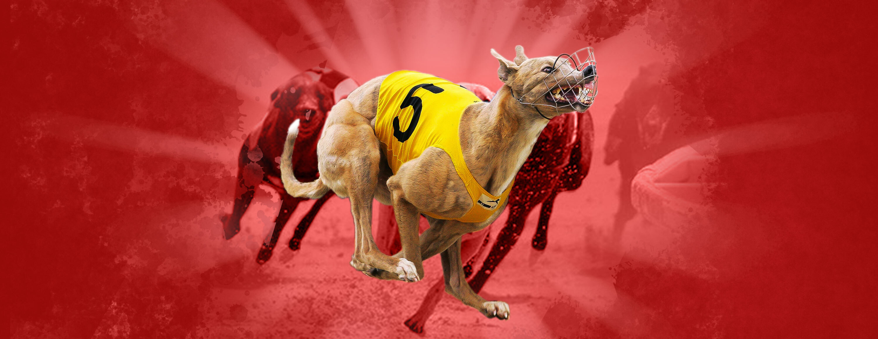 Ежедневный фрибет 5 фунтов за ставку на экспресс от БК Matchbook