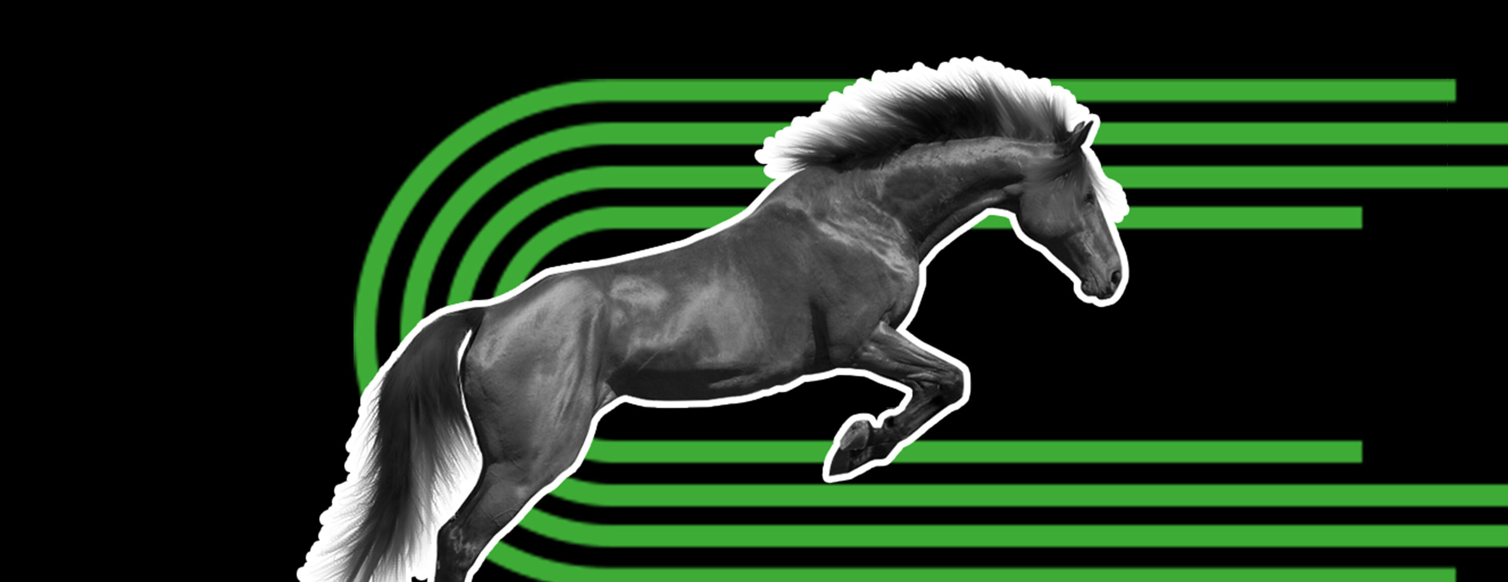 Кэшбэк за ставки на лошадиные скачки от БК Unibet