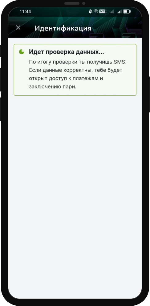 Идентификация в БК Pari