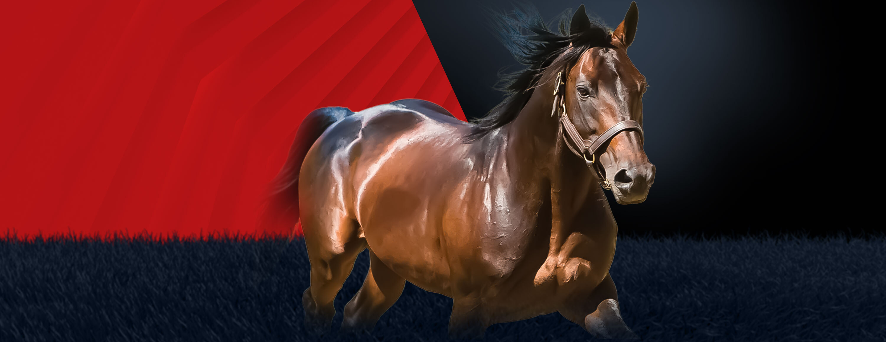 Фрибет 5 фунтов за экспресс-ставки от БК Matchbook