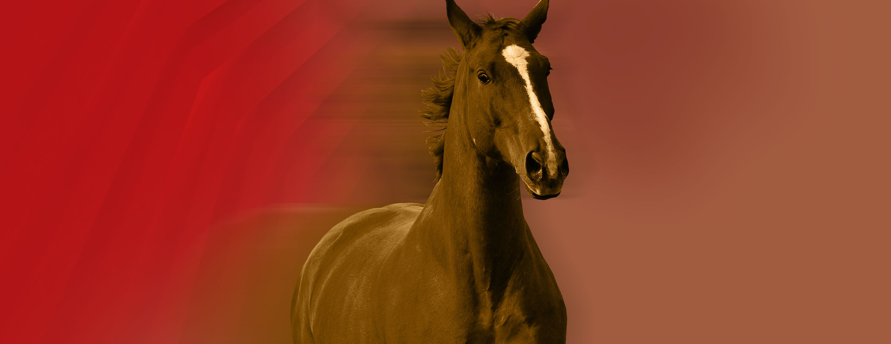 Приветственный бонус 20 фунтов для клиентов БК Matchbook