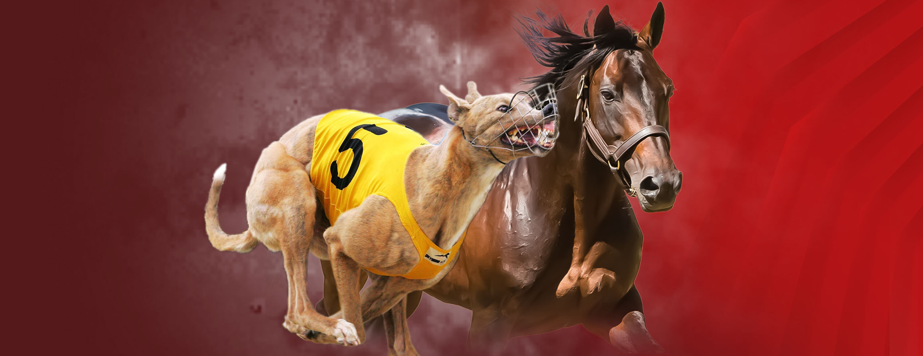 Обнуление маржи на 90 дней после регистрации от БК Matchbook