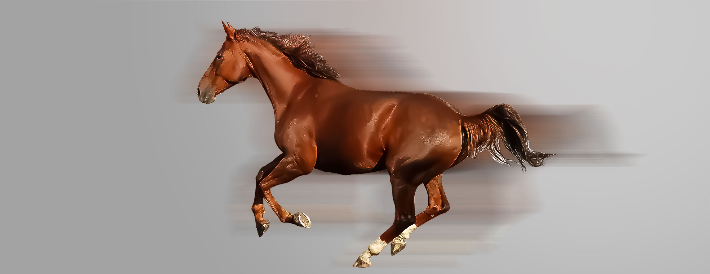 Кэшбэк 8% за ставки на лошадиные скачки от БК Betcris