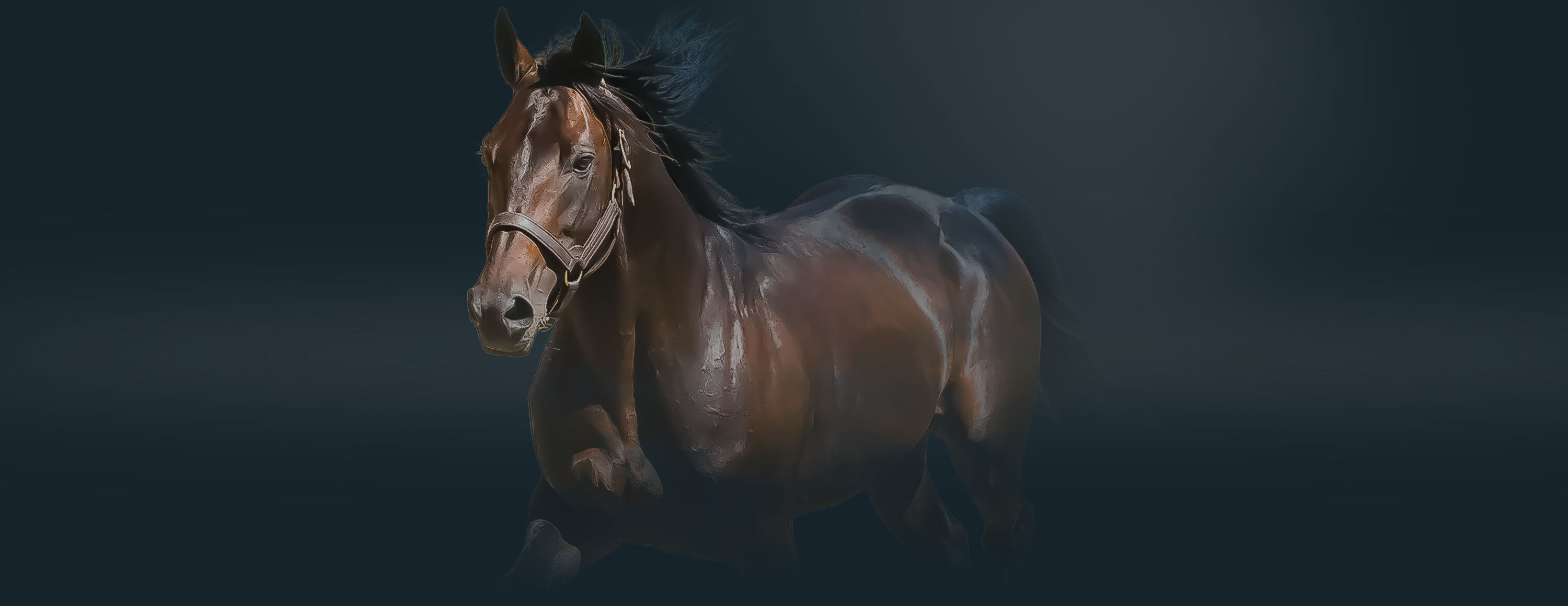 Возврат ставки на скачки при неудачном старте от БК Betvictor