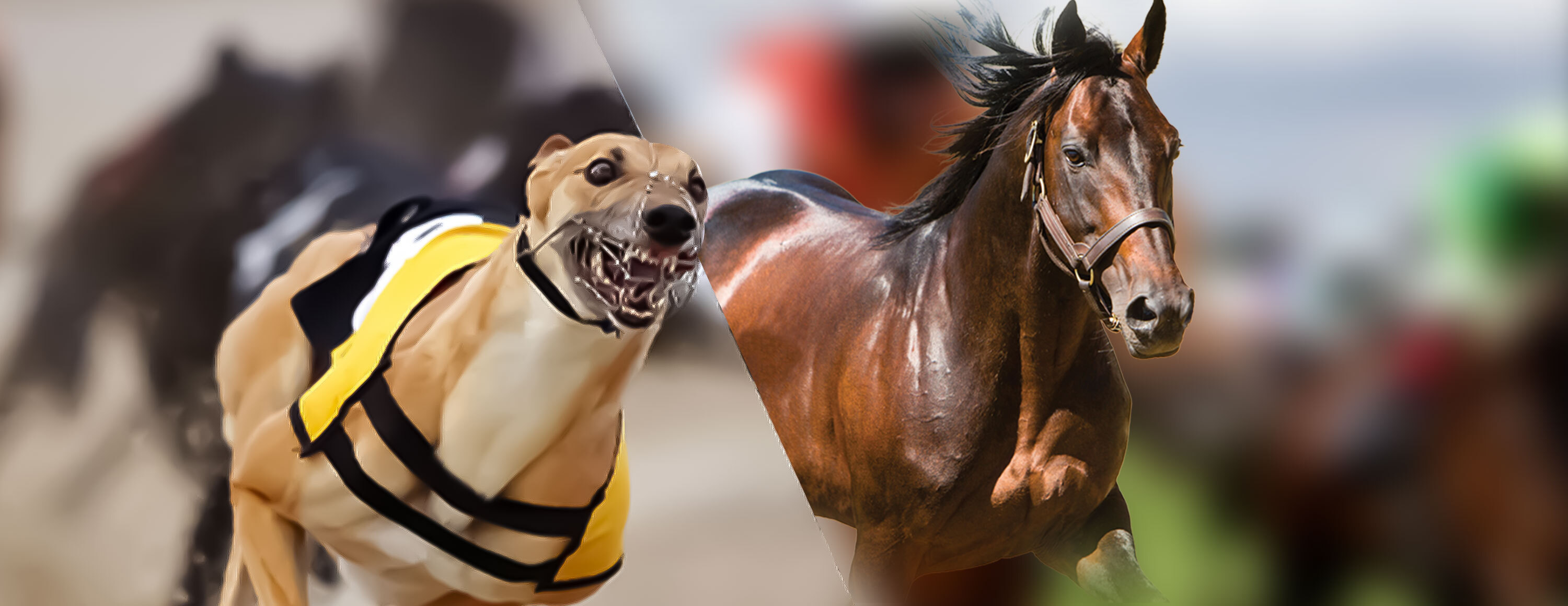 Улучшенные коэффициенты на топ-события в спорте от БК Betvictor