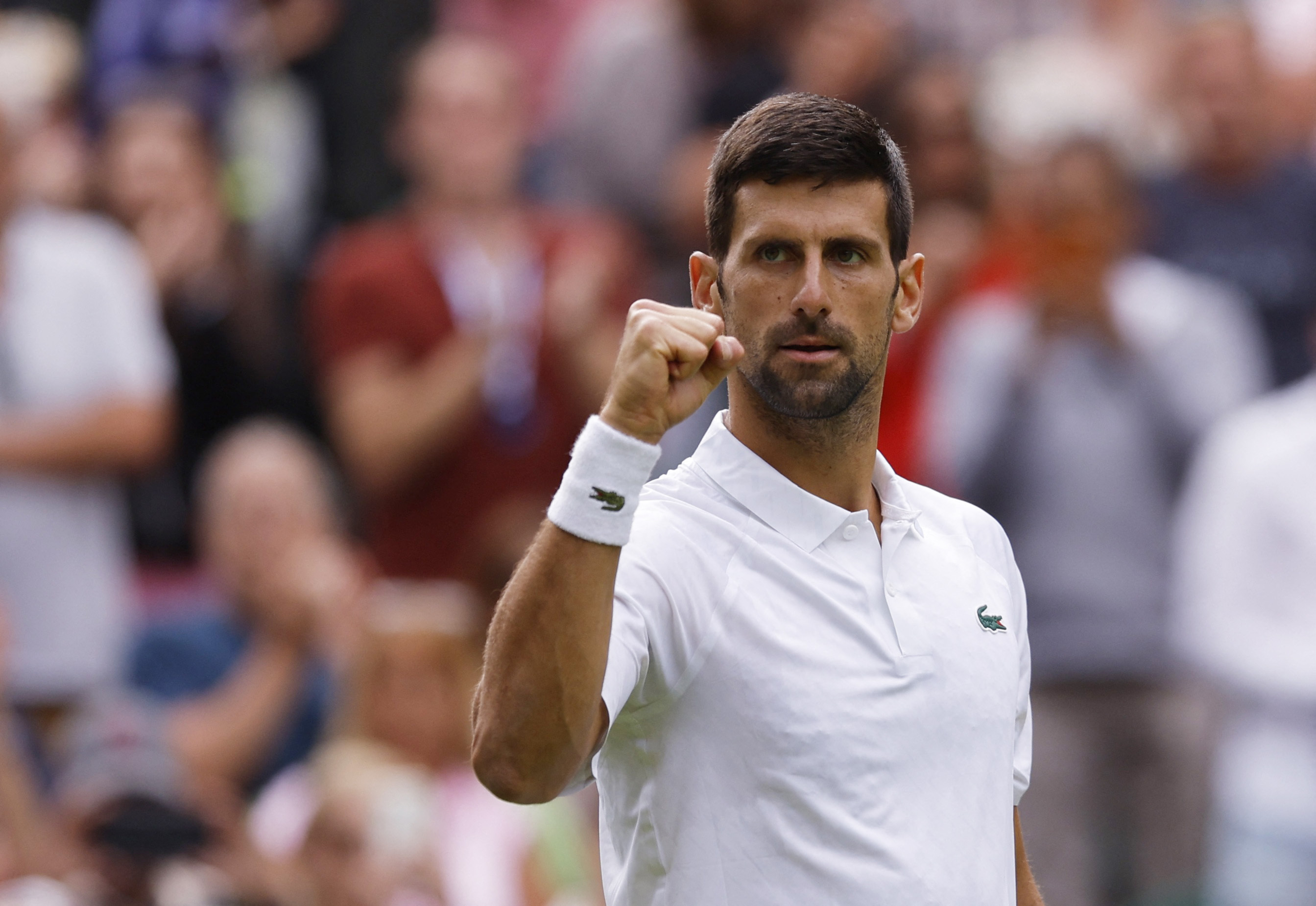 Novak Djokovic Jannik Sinner Wimbledon