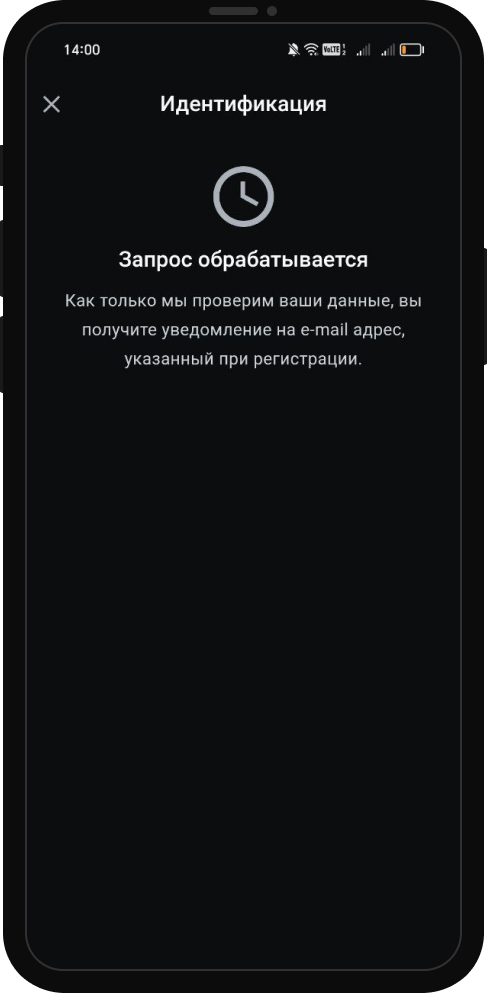 Процесс прохождения идентификации в БК Леон