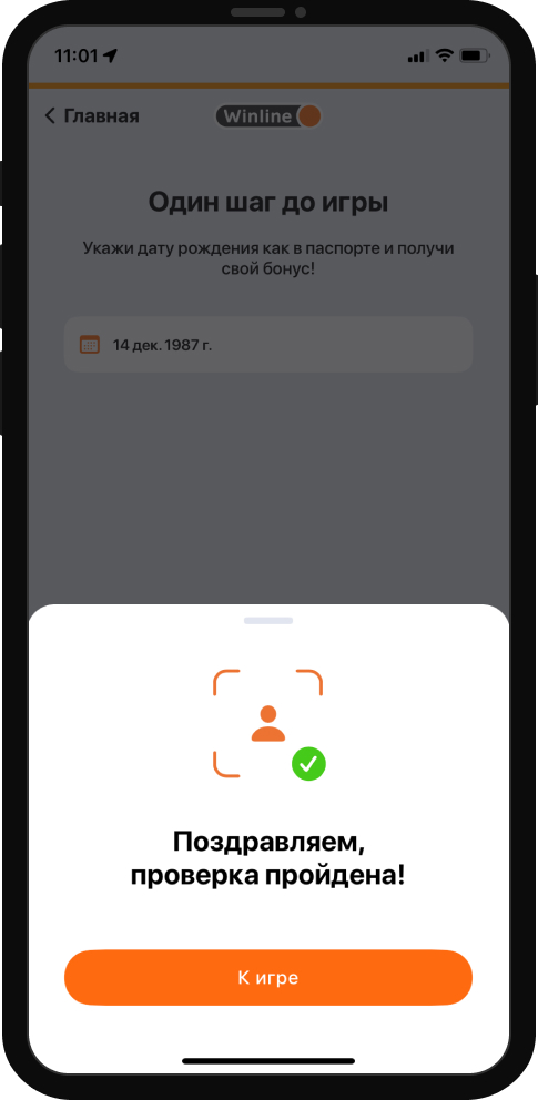 Успешное прохождение идентификации на сайте Winline